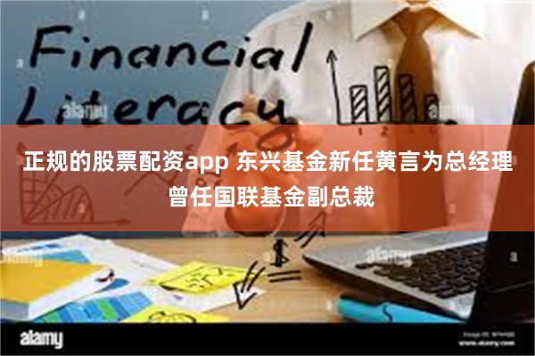正规的股票配资app 东兴基金新任黄言为总经理 曾任国联基金副总裁