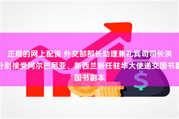 正规的网上配资 外交部部长助理兼礼宾司司长洪磊分别接受阿尔巴尼亚、新西兰新任驻华大使递交国书副本