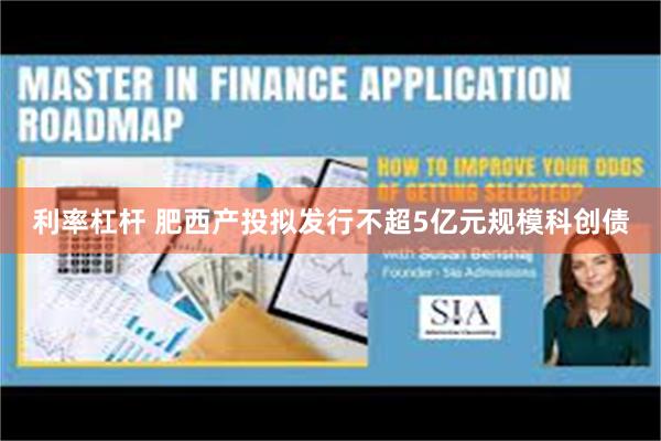 利率杠杆 肥西产投拟发行不超5亿元规模科创债