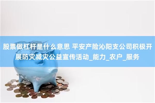 股票做杠杆是什么意思 平安产险沁阳支公司积极开展防灾减灾公益宣传活动_能力_农户_服务
