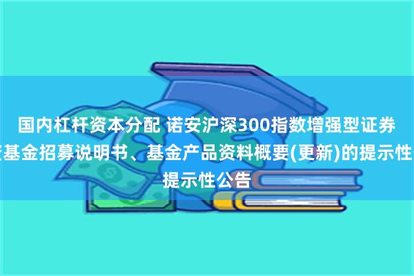 国内杠杆资本分配 诺安沪深300指数增强型证券投资基金招募说明书、基金产品资料概要(更新)的提示性公告