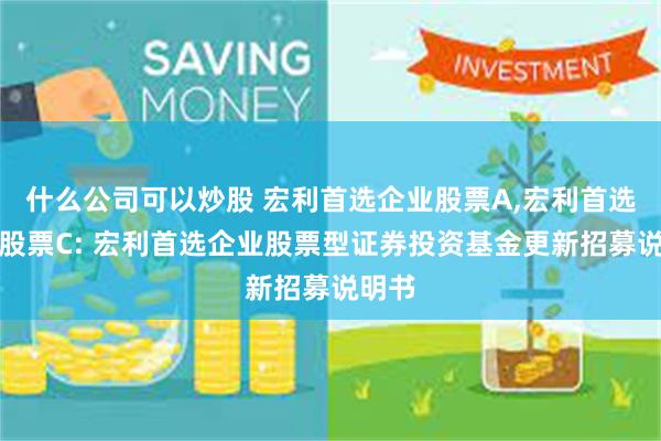 什么公司可以炒股 宏利首选企业股票A,宏利首选企业股票C: 宏利首选企业股票型证券投资基金更新招募说明书