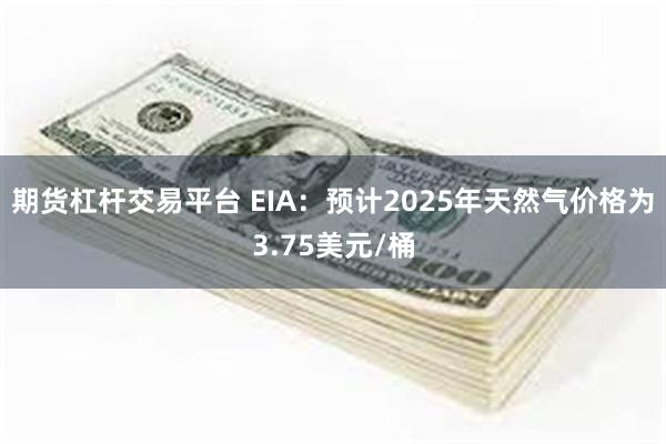 期货杠杆交易平台 EIA：预计2025年天然气价格为3.75美元/桶