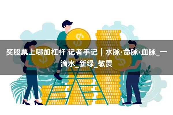 买股票上哪加杠杆 记者手记｜水脉·命脉·血脉_一滴水_新绿_敬畏