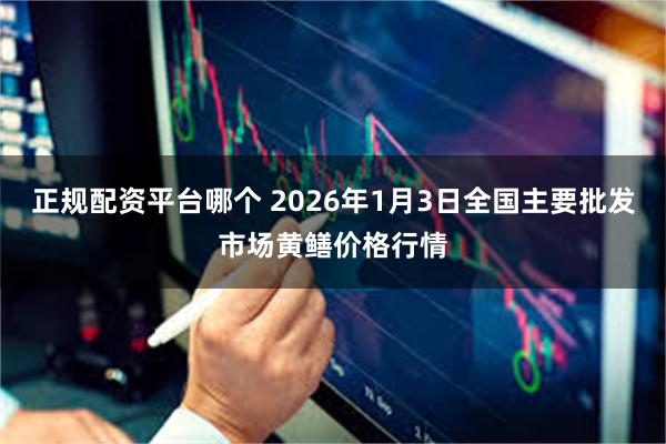 正规配资平台哪个 2026年1月3日全国主要批发市场黄鳝价格行情